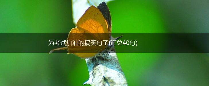 为考试加油的搞笑句子(汇总40句),第1张
