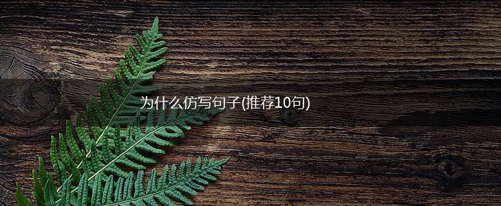 为什么仿写句子(推荐10句),第1张