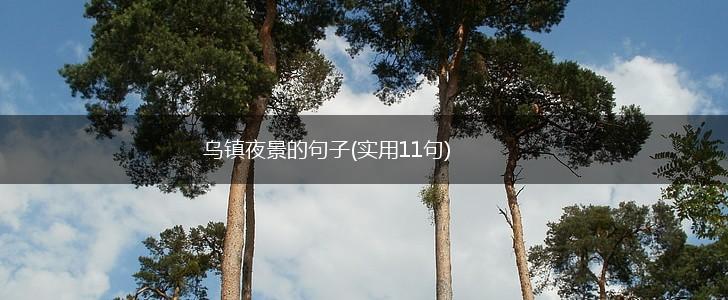 乌镇夜景的句子(实用11句),第1张