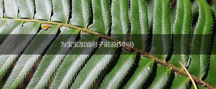 为宝宝加油句子说说(50句),第1张
