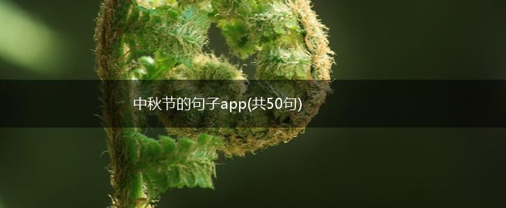 中秋节的句子app(共50句),第1张