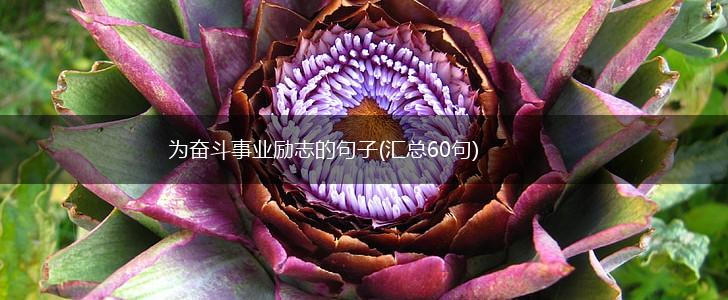 为奋斗事业励志的句子(汇总60句),第1张