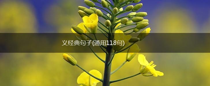 义经典句子(通用118句),第1张