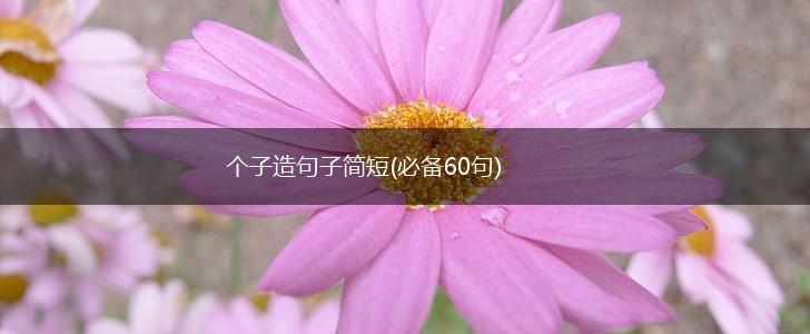 个子造句子简短(必备60句),第1张