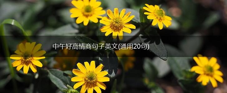中午好高情商句子英文(通用20句),第1张