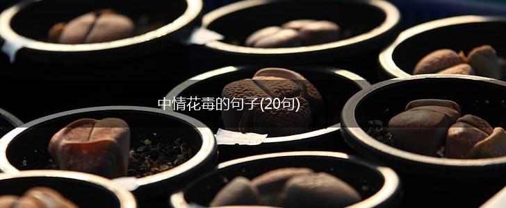 中情花毒的句子(20句),第1张
