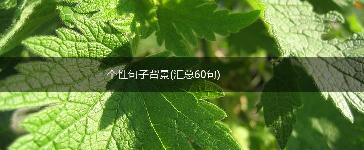 个性句子背景(汇总60句),第1张