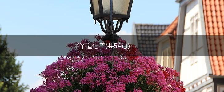 丫丫造句子(共54句),第1张