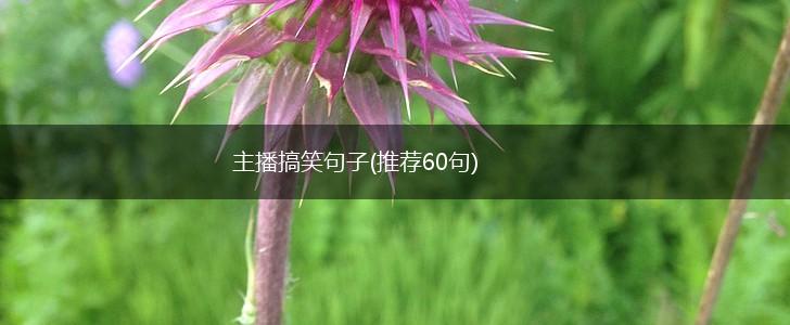 主播搞笑句子(推荐60句),第1张