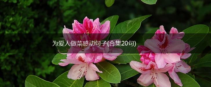 为爱人做菜感动句子(合集20句),第1张