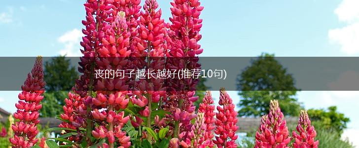 丧的句子越长越好(推荐10句),第1张