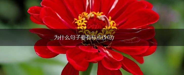 为什么句子要有标点(5句),第1张
