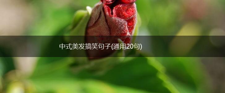 中式美发搞笑句子(通用20句),第1张