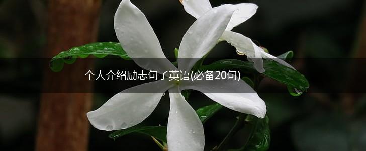 个人介绍励志句子英语(必备20句),第1张
