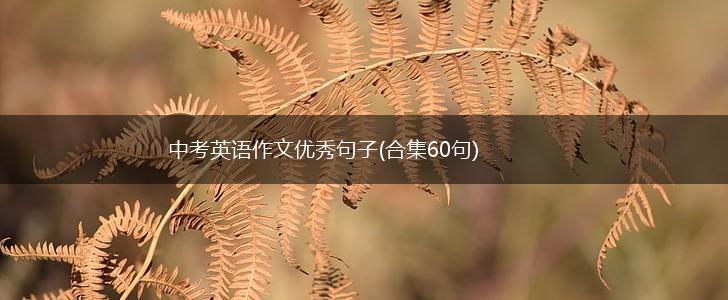 中考英语作文优秀句子(合集60句),第1张