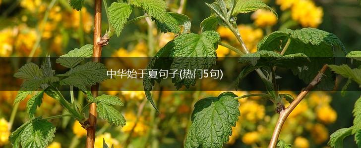 中华始于夏句子(热门5句),第1张
