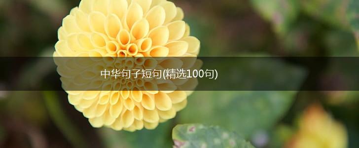 中华句子短句(精选100句),第1张