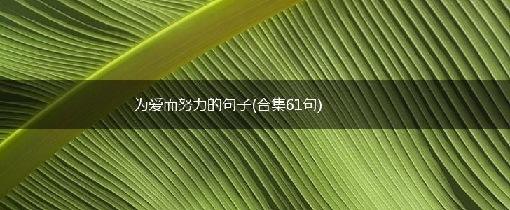 为爱而努力的句子(合集61句),第1张