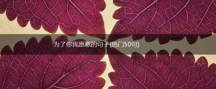 为了你我愿意的句子(热门50句),第1张