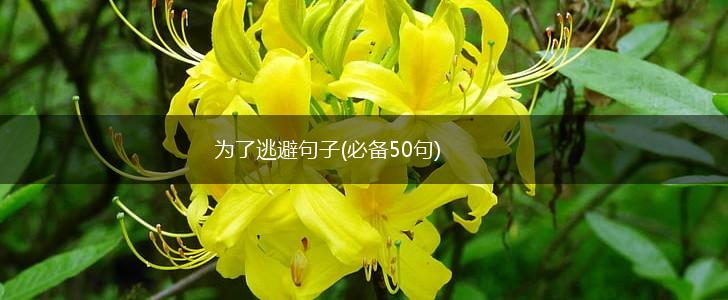 为了逃避句子(必备50句),第1张