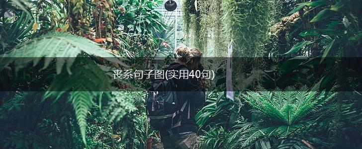 丧系句子图(实用40句),第1张