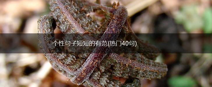 个性句子短短的有范(热门40句),第1张