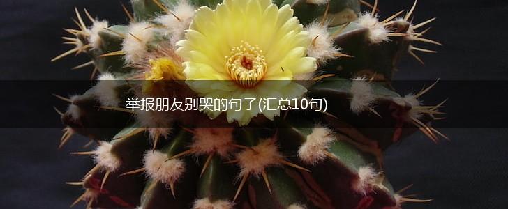 举报朋友别哭的句子(汇总10句),第1张