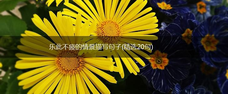 乐此不疲的情景描写句子(精选20句),第1张