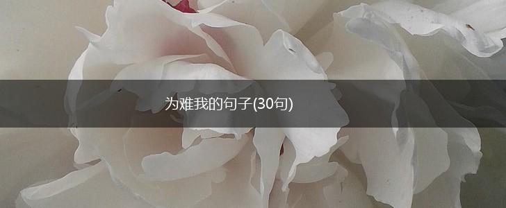 为难我的句子(30句),第1张