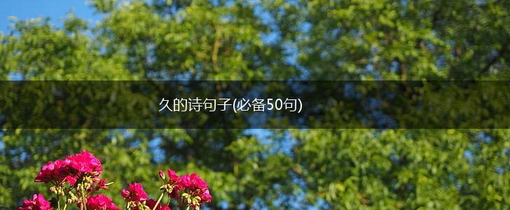久的诗句子(必备50句),第1张