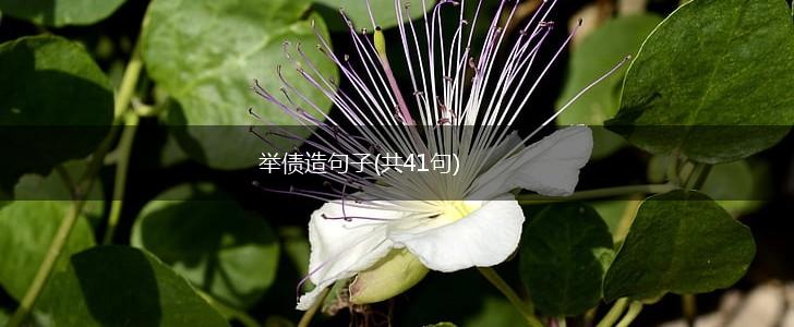 举债造句子(共41句),第1张