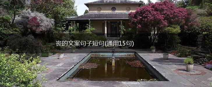 丧的文案句子短句(通用15句),第1张