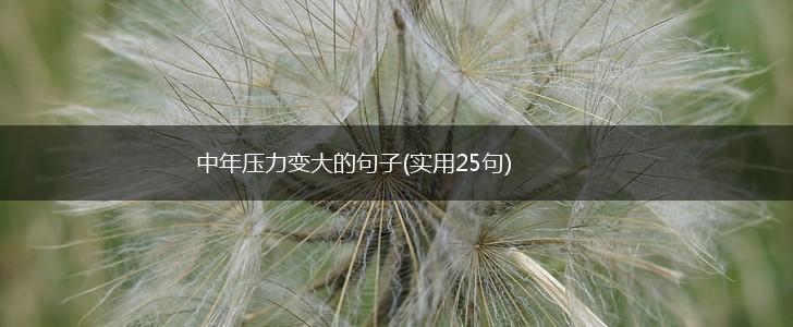 中年压力变大的句子(实用25句),第1张