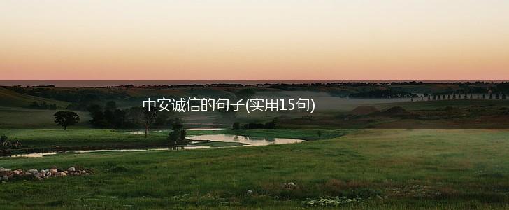 中安诚信的句子(实用15句),第1张