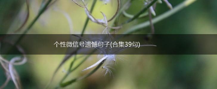 个性微信号遗憾句子(合集39句),第1张