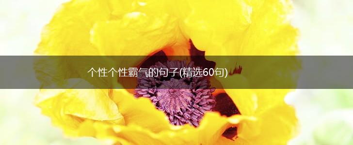 个性个性霸气的句子(精选60句),第1张