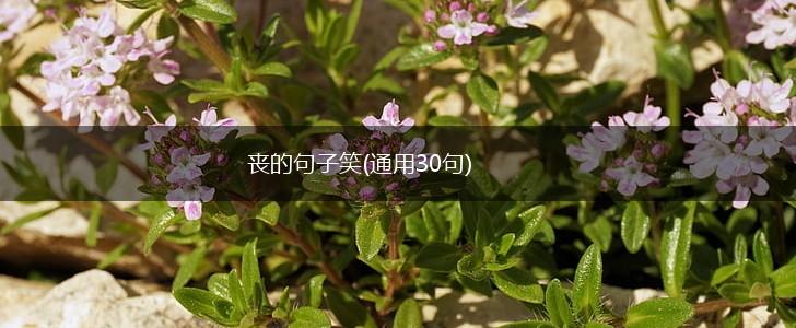 丧的句子笑(通用30句),第1张