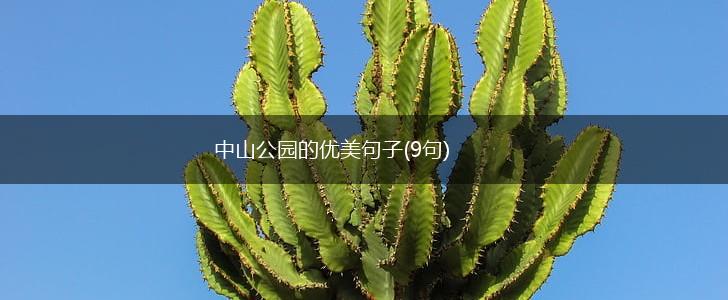中山公园的优美句子(9句),第1张