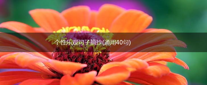 个性乐观句子摘抄(通用40句),第1张