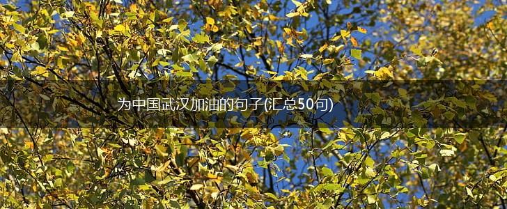 为中国武汉加油的句子(汇总50句),第1张