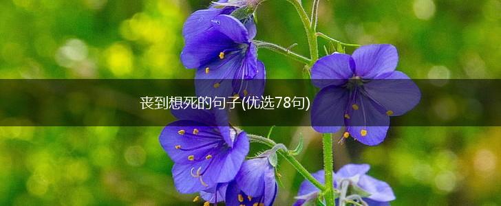 丧到想死的句子(优选78句),第1张