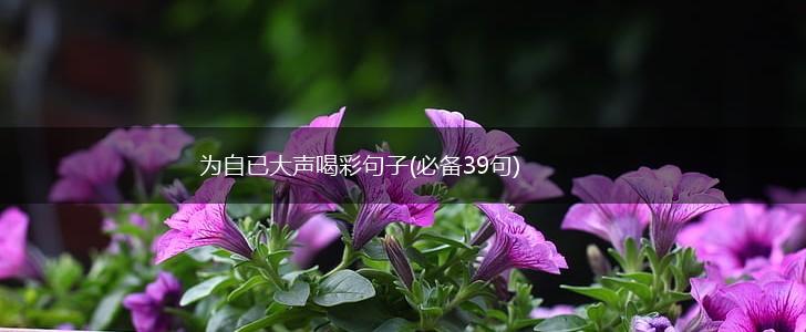 为自已大声喝彩句子(必备39句),第1张