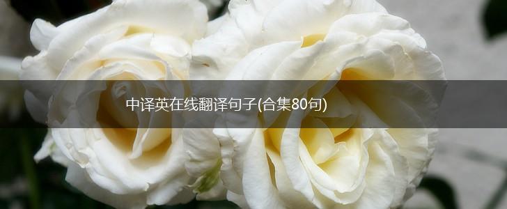 中译英在线翻译句子(合集80句),第1张