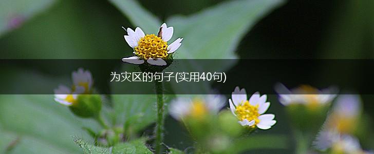 为灾区的句子(实用40句),第1张