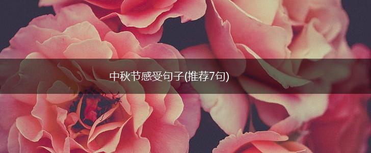 中秋节感受句子(推荐7句),第1张