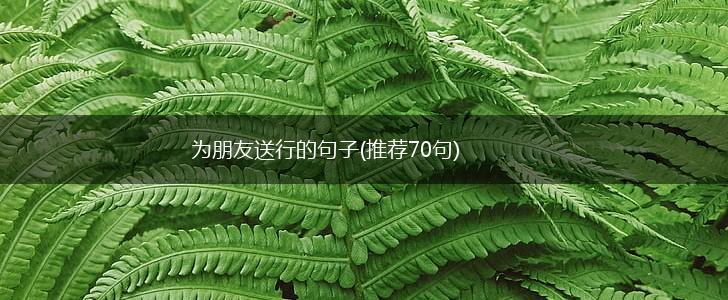 为朋友送行的句子(推荐70句),第1张