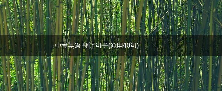 中考英语 翻译句子(通用40句),第1张