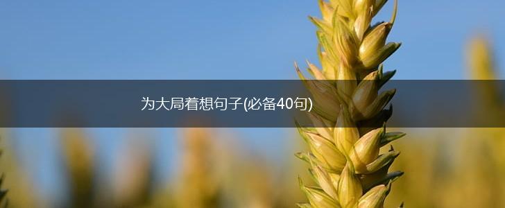 为大局着想句子(必备40句),第1张