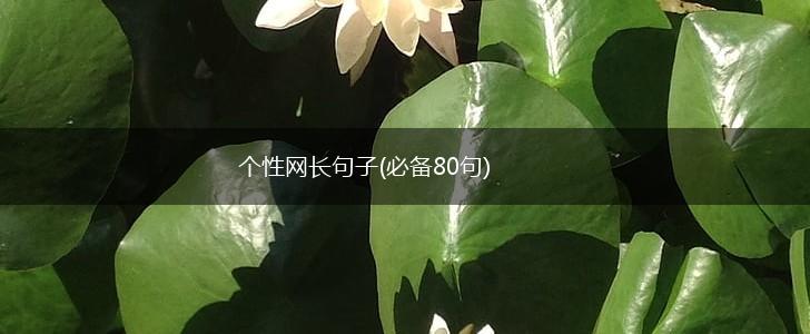 个性网长句子(必备80句),第1张