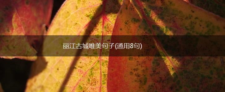 丽江古城唯美句子(通用8句),第1张